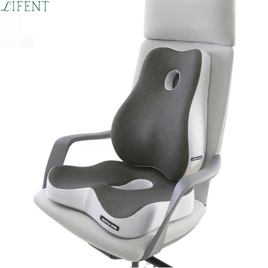 Encosto e Assento para Dores na Coluna e Lombar